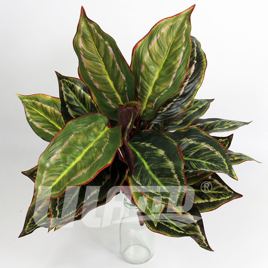 仿真植物彩葉萬年青