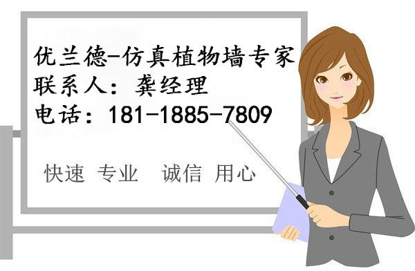 優蘭德Ulandcn,仿真植物墻專家!