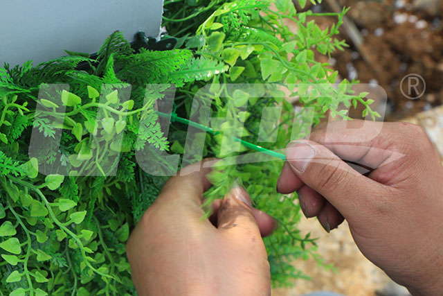 仿真植物墻工程案例效果圖5
