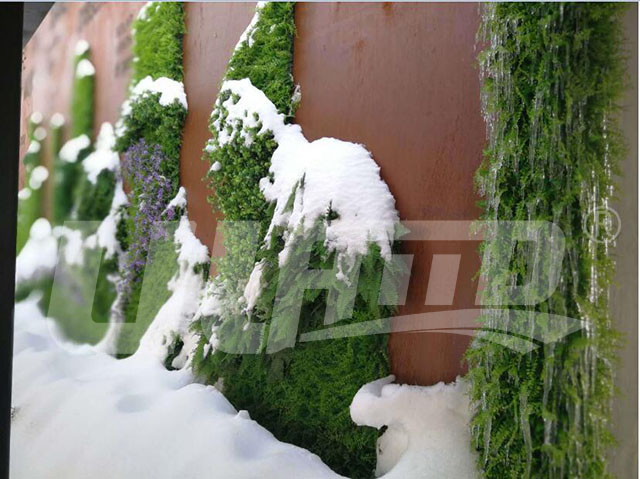 仿真植物墻工程案例效果圖8