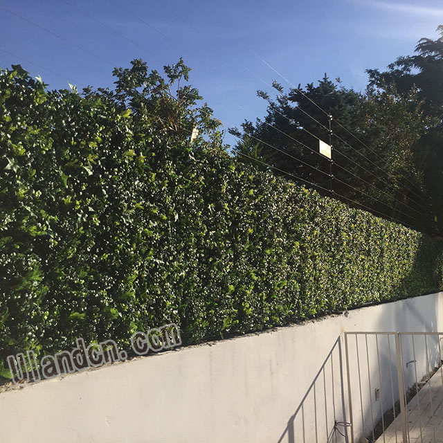 仿真植物墻廠家,優蘭德!