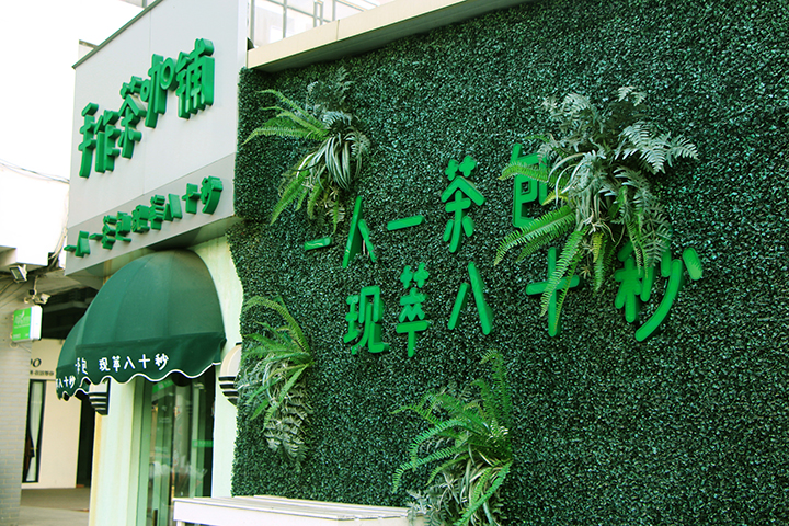 主題仿真植物墻