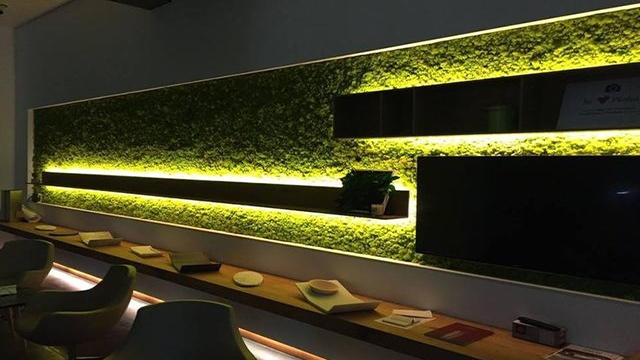 餐廳永生苔蘚植物墻