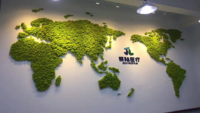 公司形象墻永生苔蘚植物墻