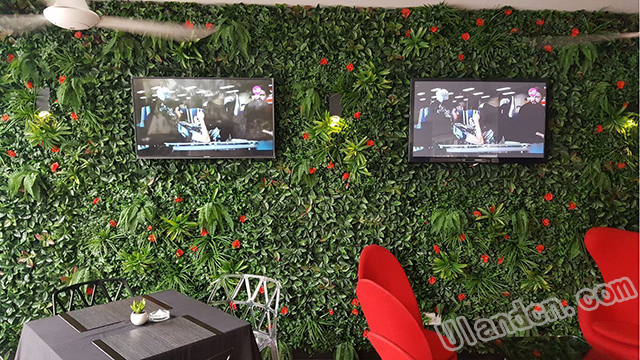 用仿真植物墻裝飾的餐廳