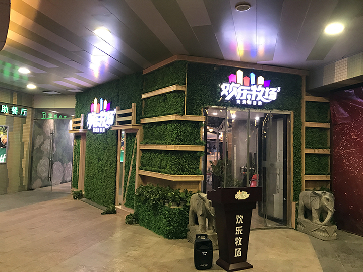 餐飲行業仿真植物墻