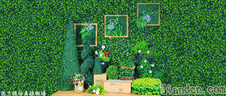 仿真植物墻
