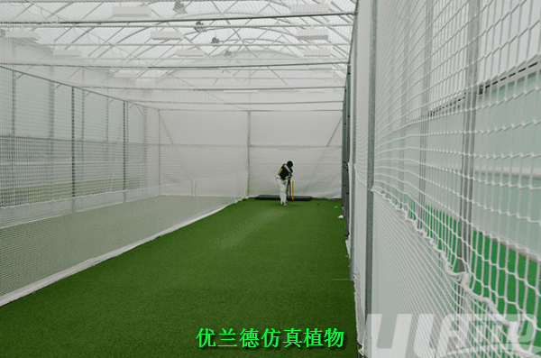 運(yùn)動(dòng)場(chǎng)仿真草坪廠(chǎng)家