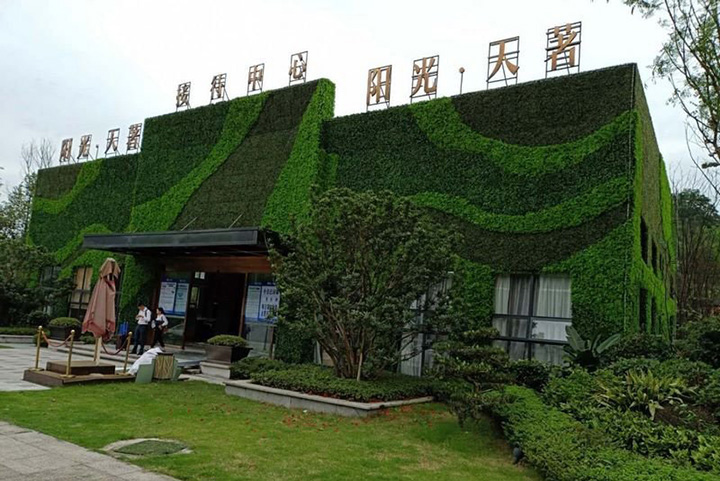 房地產(chǎn)售樓部仿真植物墻綠植